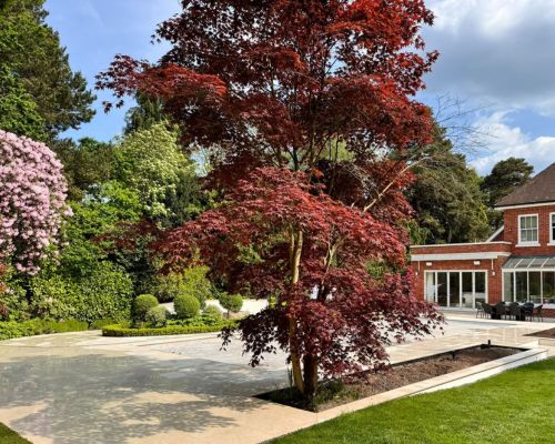 surrey gardens